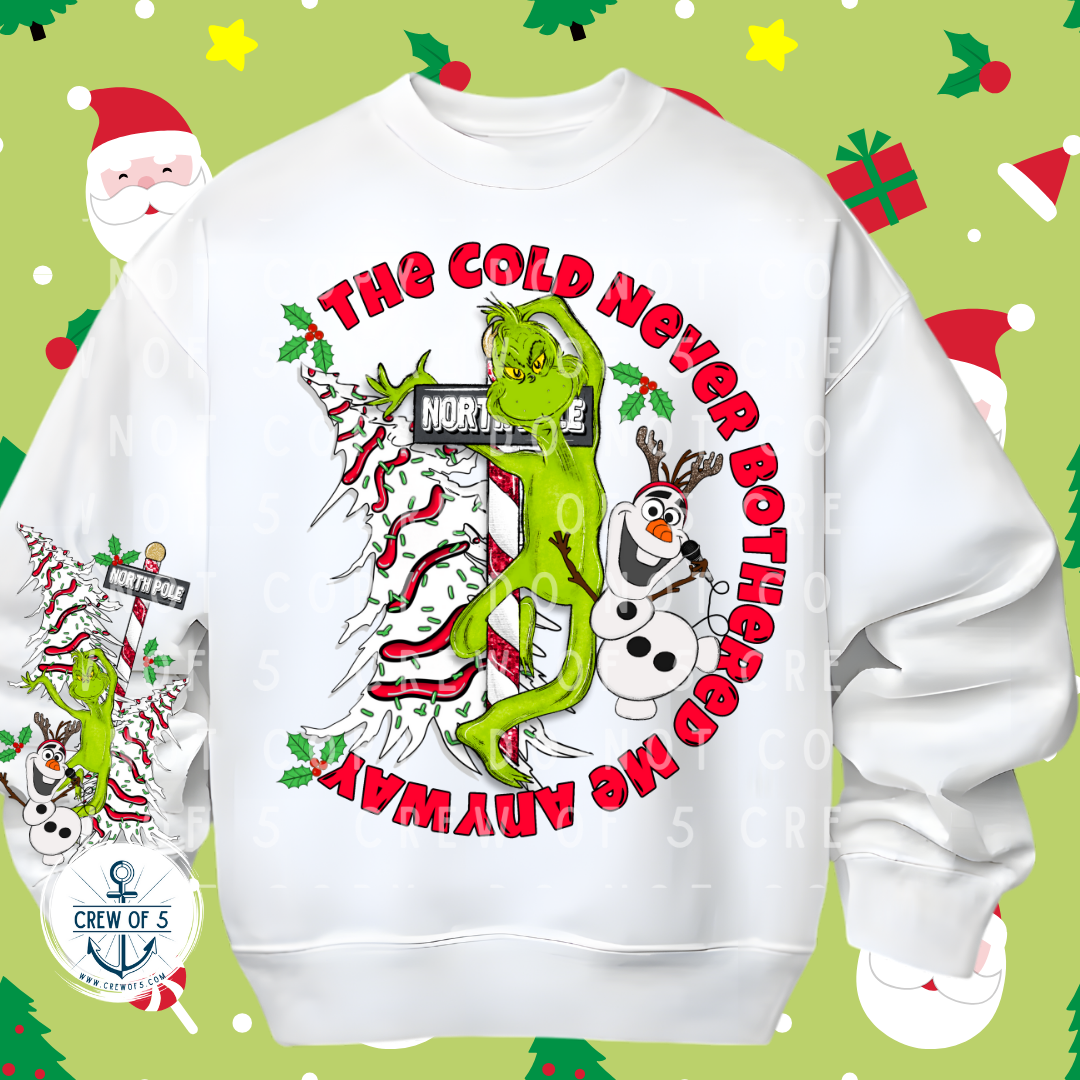 The Cold Never Bothered Me Anyway