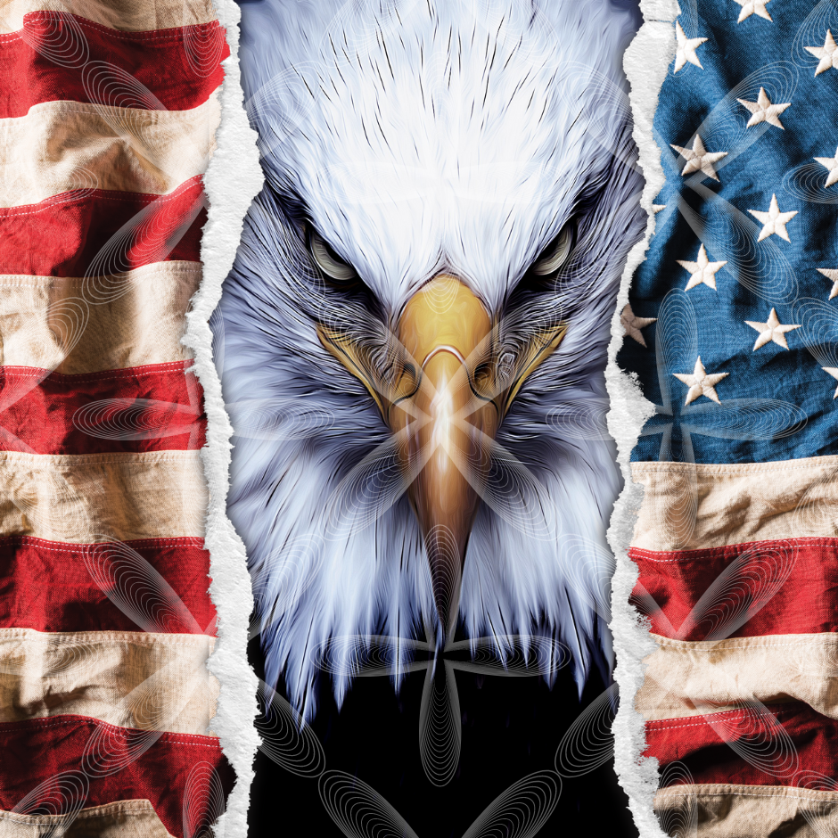 Eagle Flag 20 oz Tumbler