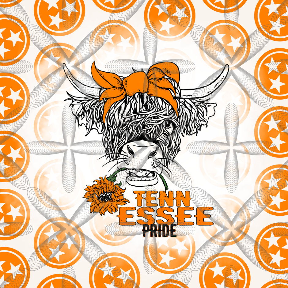 Tennessee Pride 20 oz Tumbler