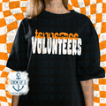 TN Volunteers